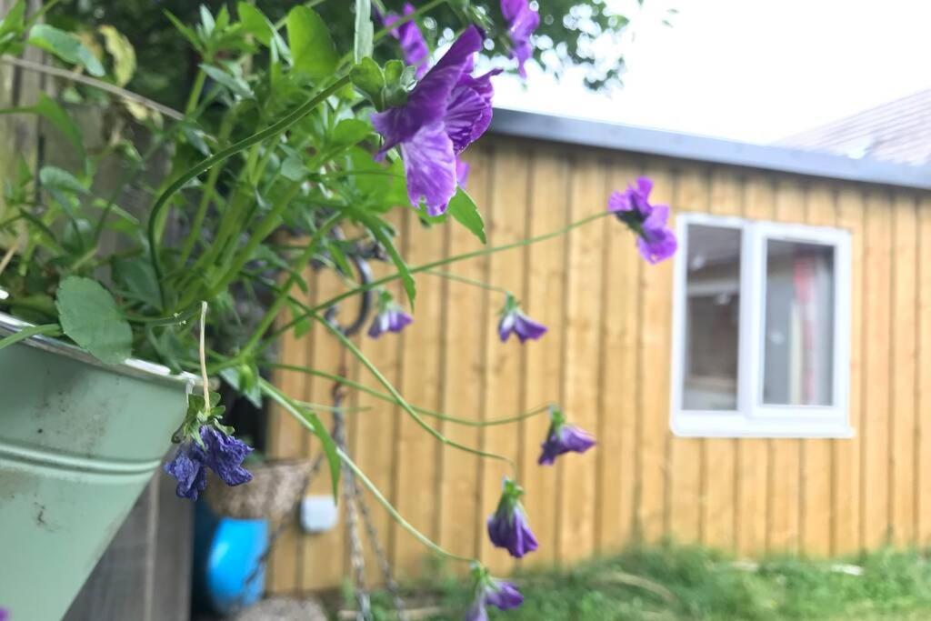 An Cabar Apartment Aviemore Luaran gambar